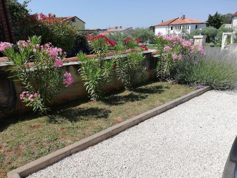 Apartments Oleander Lovrecica-Residence With Pool Lovrečica Exterior foto